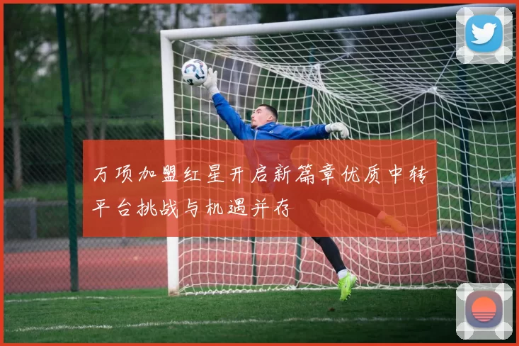 万项加盟红星开启新篇章优质中转平台挑战与机遇并存